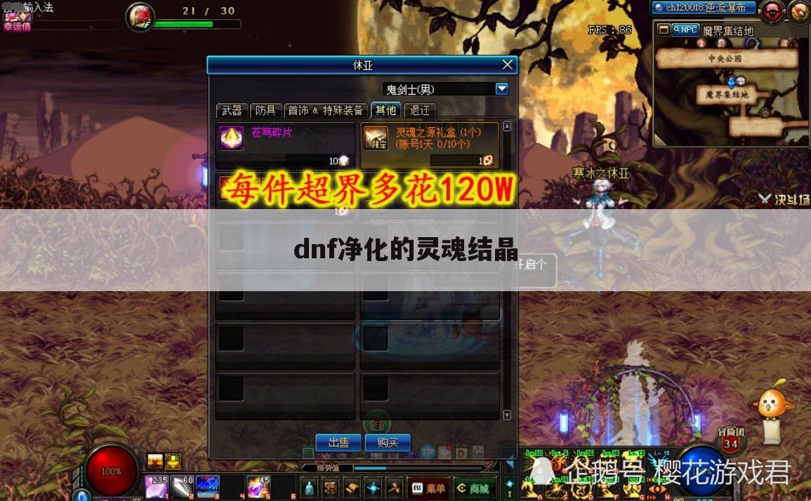 dnf净化的灵魂结晶